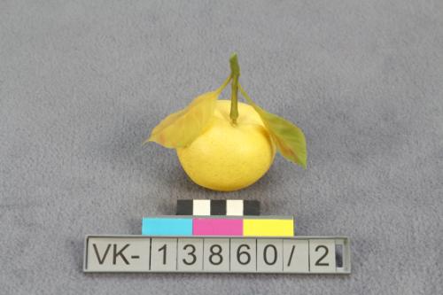 Landessammlungen Niederösterreich