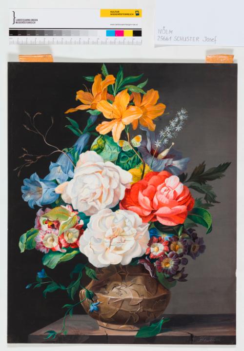 Landessammlungen Niederösterreich