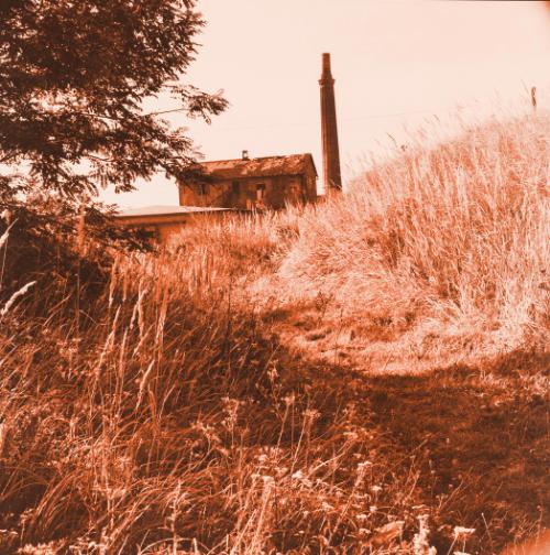 Landessammlungen Niederösterreich