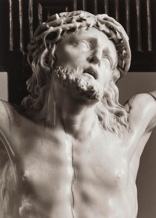 Landessammlungen Niederösterreich