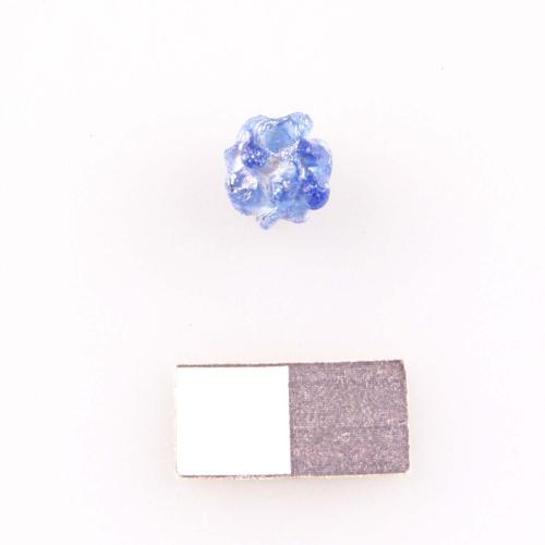 Landessammlungen Niederösterreich