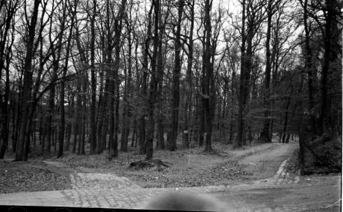 Landessammlungen Niederösterreich