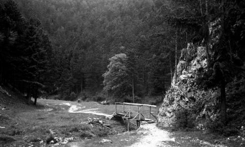 Landessammlungen Niederösterreich