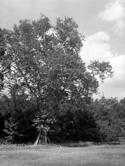 Landessammlungen Niederösterreich