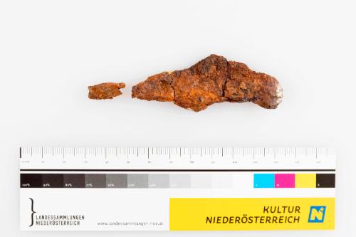 Landessammlungen Niederösterreich