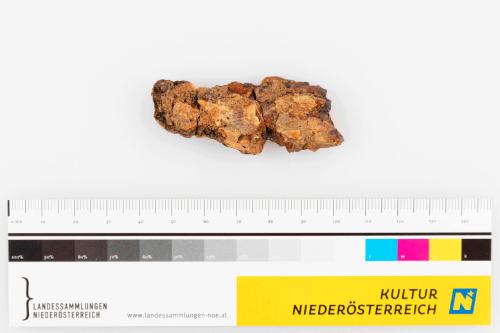 Landessammlungen Niederösterreich