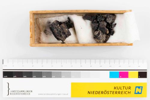 Landessammlungen Niederösterreich