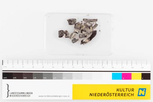Landessammlungen Niederösterreich