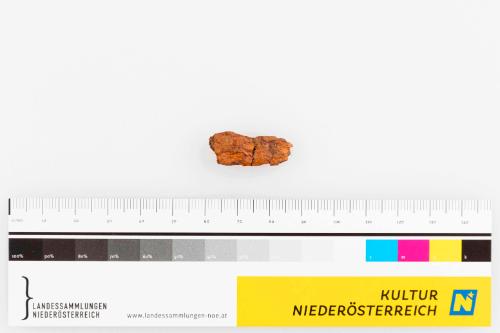 Landessammlungen Niederösterreich