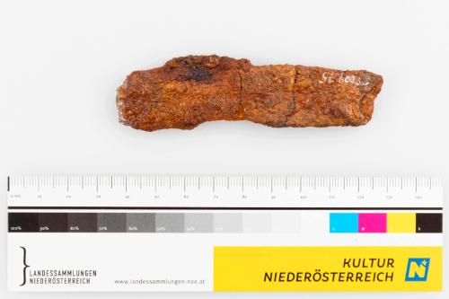 Landessammlungen Niederösterreich