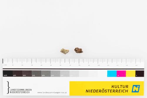 Landessammlungen Niederösterreich
