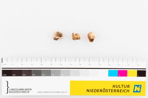 Landessammlungen Niederösterreich