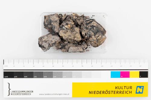 Landessammlungen Niederösterreich
