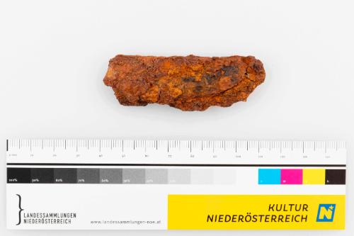 Landessammlungen Niederösterreich