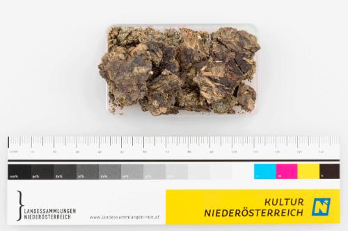 Landessammlungen Niederösterreich