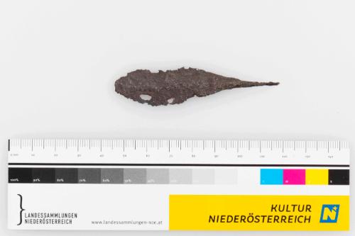 Landessammlungen Niederösterreich