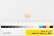 Landessammlungen Niederösterreich