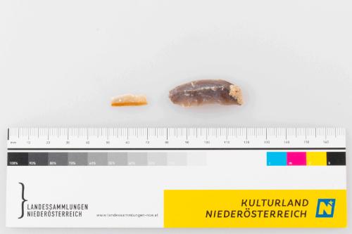 © Landessammlungen Niederösterreich