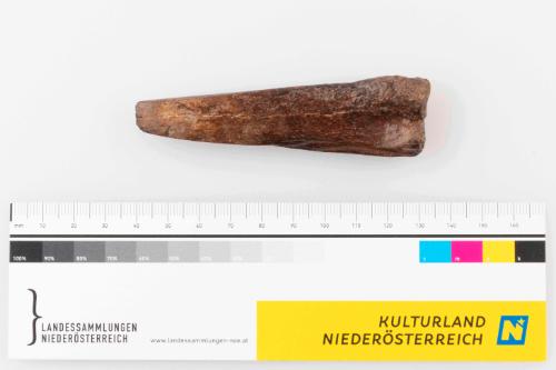 © Landessammlungen Niederösterreich