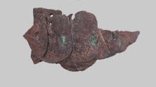 Schuppenpanzerfragment