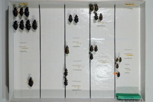 © Landessammlungen NÖ, Foto: Johann Nesweda