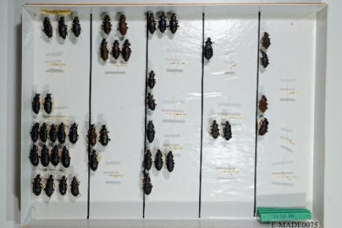 © Landessammlungen NÖ, Foto: Johann Nesweda