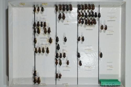 © Landessammlungen NÖ, Foto: Johann Nesweda