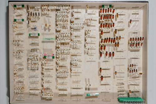 © Landessammlungen NÖ, Foto: Johann Nesweda