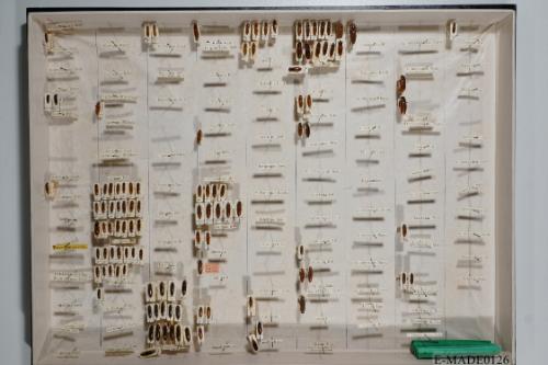 © Landessammlungen NÖ, Foto: Johann Nesweda