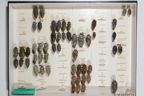 © Landessammlungen NÖ, Foto: Johann Nesweda