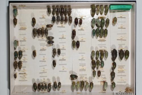 © Landessammlungen NÖ, Foto: Johann Nesweda