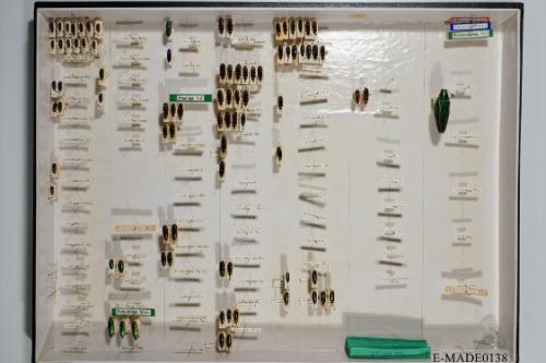 © Landessammlungen NÖ, Foto: Johann Nesweda