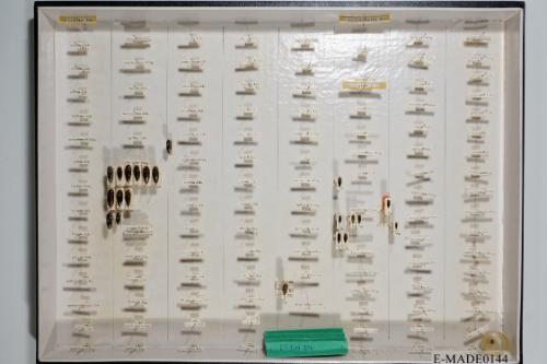 © Landessammlungen NÖ, Foto: Johann Nesweda