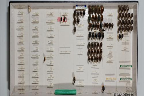 © Landessammlungen NÖ, Foto: Johann Nesweda