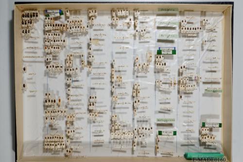 © Landessammlungen NÖ, Foto: Johann Nesweda