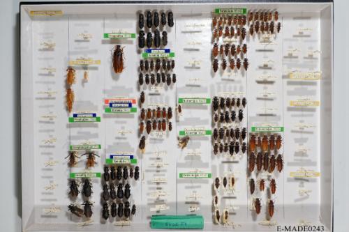 © Landessammlungen NÖ, Foto: Johann Nesweda