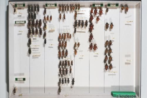 © Landessammlungen NÖ, Foto: Johann Nesweda