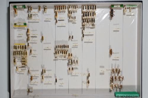 © Landessammlungen NÖ, Foto: Johann Nesweda