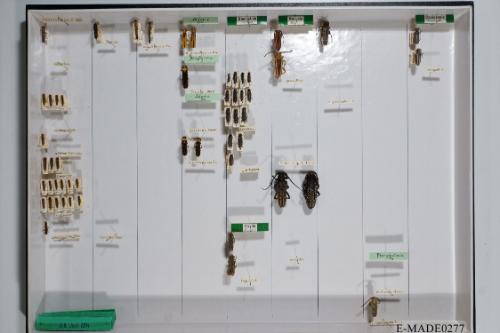 © Landessammlungen NÖ, Foto: Johann Nesweda