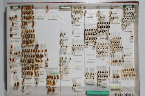 © Landessammlungen NÖ, Foto: Johann Nesweda