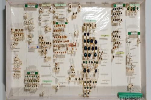 © Landessammlungen NÖ, Foto: Johann Nesweda