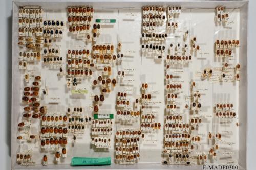 © Landessammlungen NÖ, Foto: Johann Nesweda