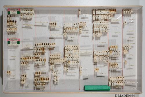 © Landessammlungen NÖ, Foto: Johann Nesweda