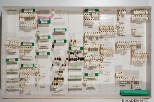 © Landessammlungen NÖ, Foto: Johann Nesweda