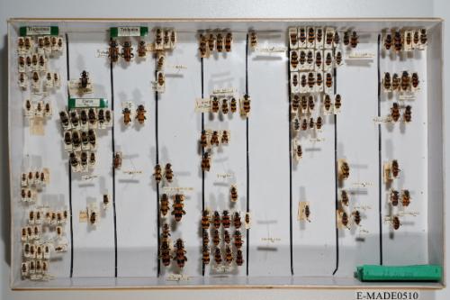 © Landessammlungen NÖ, Foto: Johann Nesweda