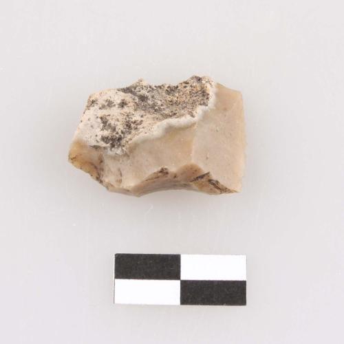 Landessammlungen Niederösterreich