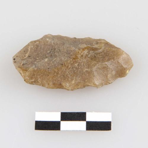 Landessammlungen Niederösterreich