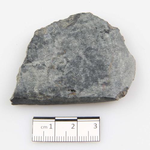 Landessammlungen Niederösterreich