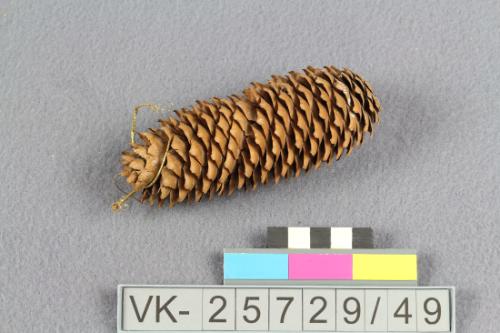 Landessammlungen Niederösterreich