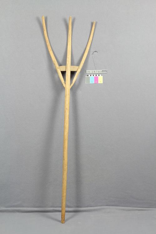 Landessammlungen Niederösterreich